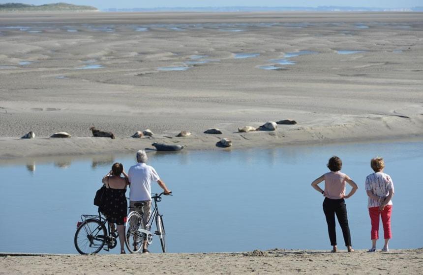 Hamac Chic Vue Mer. Berck Kültér fotó