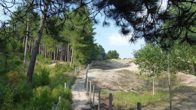 Hamac Chic Vue Mer. Berck Kültér fotó